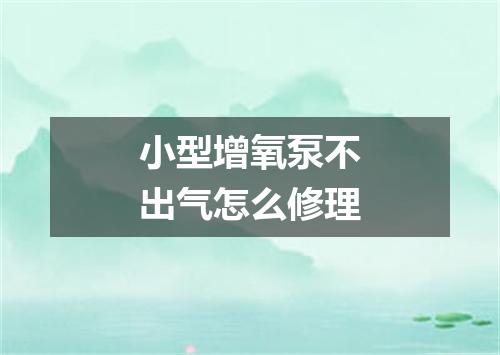小型增氧泵不出气怎么修理