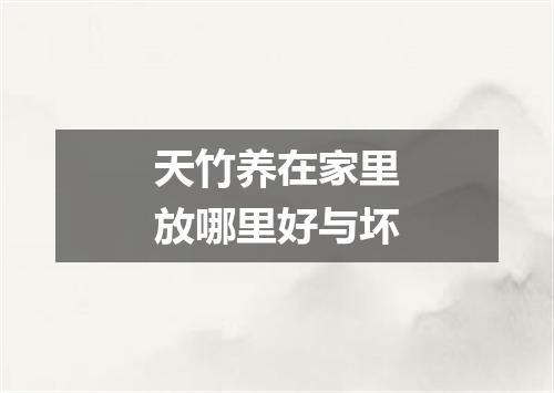天竹养在家里放哪里好与坏