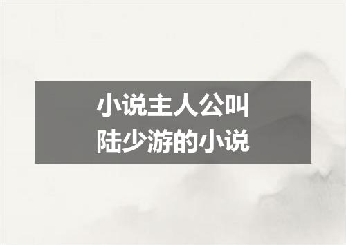 小说主人公叫陆少游的小说