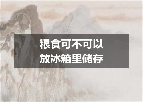 粮食可不可以放冰箱里储存
