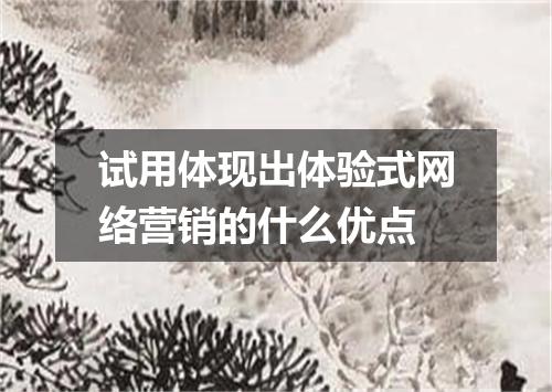 试用体现出体验式网络营销的什么优点