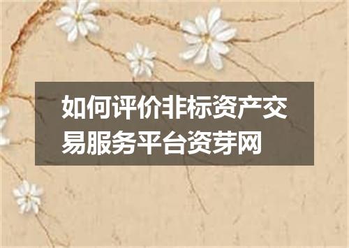 如何评价非标资产交易服务平台资芽网