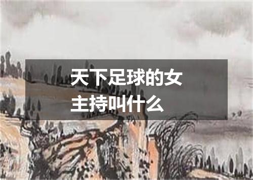 天下足球的女主持叫什么