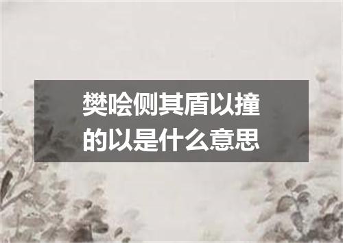 樊哙侧其盾以撞的以是什么意思