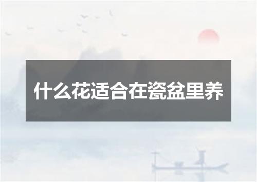 什么花适合在瓷盆里养