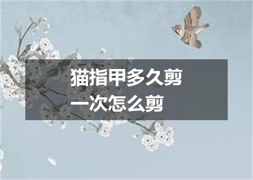 猫指甲多久剪一次怎么剪