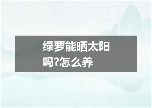 绿萝能晒太阳吗?怎么养
