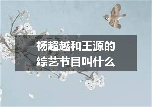 杨超越和王源的综艺节目叫什么
