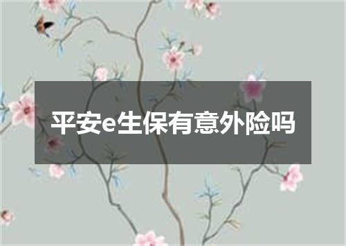 平安e生保有意外险吗