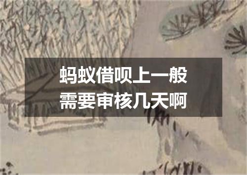 蚂蚁借呗上一般需要审核几天啊