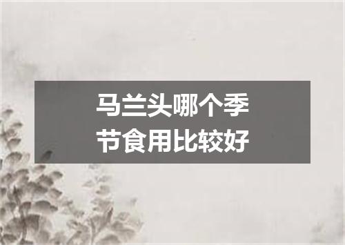 马兰头哪个季节食用比较好