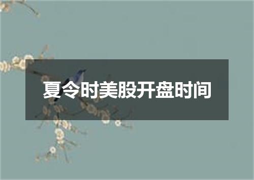 夏令时美股开盘时间