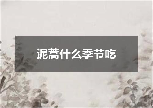 泥蒿什么季节吃