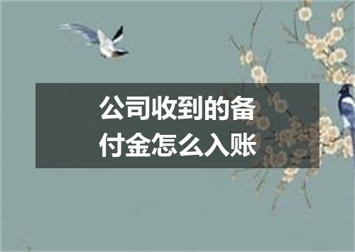 公司收到的备付金怎么入账