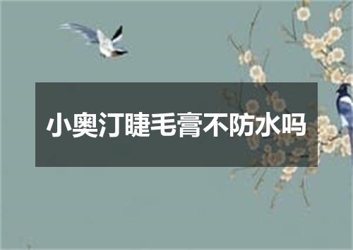 小奥汀睫毛膏不防水吗