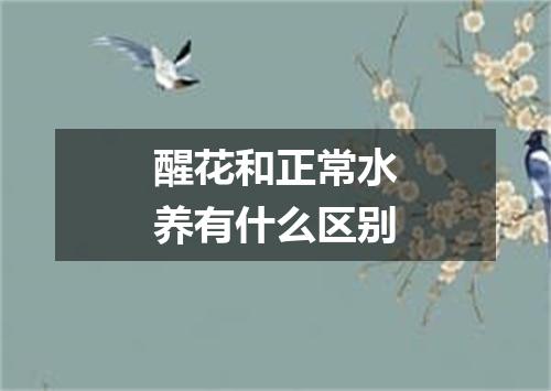 醒花和正常水养有什么区别