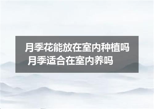 月季花能放在室内种植吗 月季适合在室内养吗