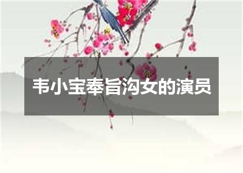 韦小宝奉旨沟女的演员