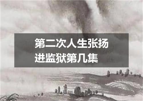 第二次人生张扬进监狱第几集