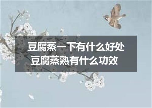 豆腐蒸一下有什么好处 豆腐蒸熟有什么功效