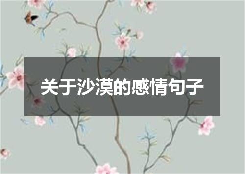 关于沙漠的感情句子