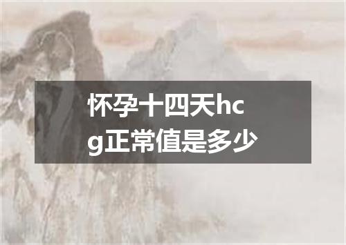 怀孕十四天hcg正常值是多少