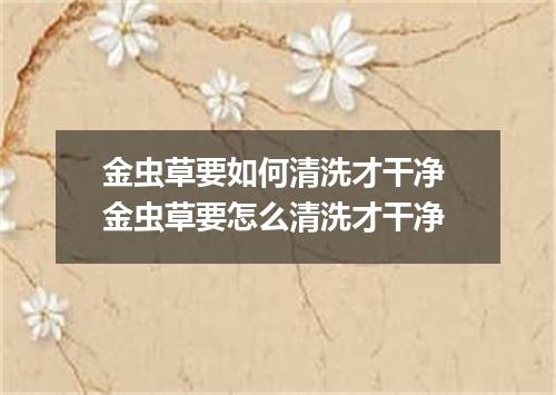 金虫草要如何清洗才干净 金虫草要怎么清洗才干净