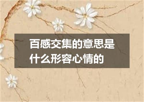 百感交集的意思是什么形容心情的