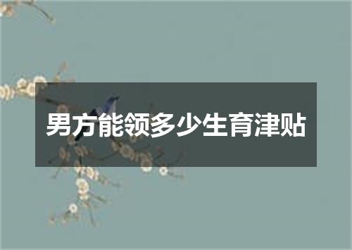 男方能领多少生育津贴