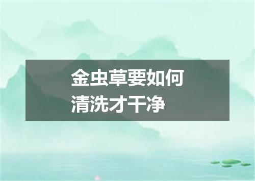 金虫草要如何清洗才干净