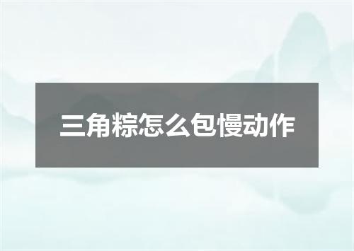 三角粽怎么包慢动作