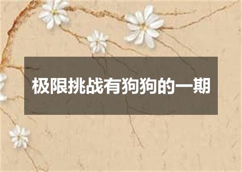 极限挑战有狗狗的一期