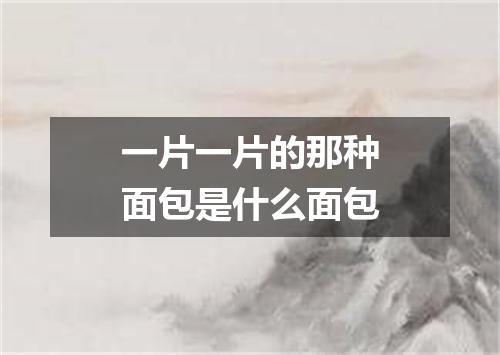 一片一片的那种面包是什么面包