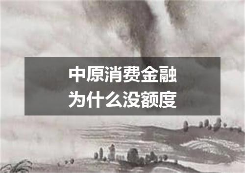 中原消费金融为什么没额度