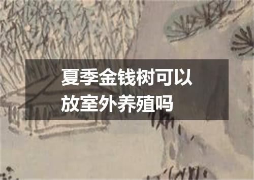 夏季金钱树可以放室外养殖吗