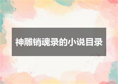 神雕销魂录的小说目录