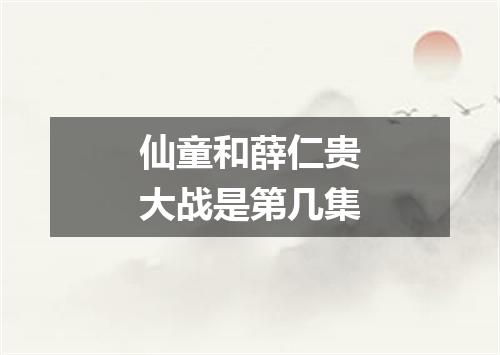 仙童和薛仁贵大战是第几集