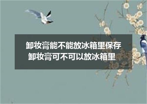 卸妆膏能不能放冰箱里保存 卸妆膏可不可以放冰箱里