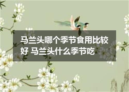 马兰头哪个季节食用比较好 马兰头什么季节吃