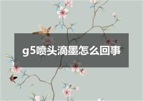 g5喷头滴墨怎么回事
