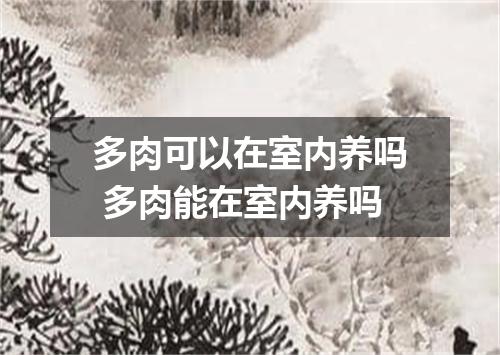 多肉可以在室内养吗 多肉能在室内养吗