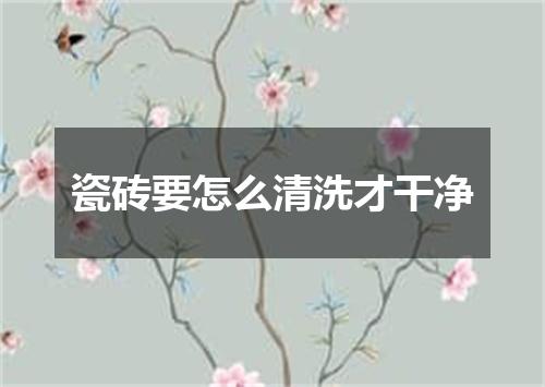 瓷砖要怎么清洗才干净