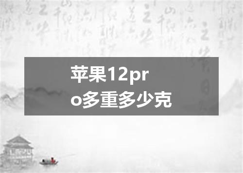 苹果12pro多重多少克