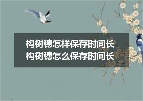 构树穗怎样保存时间长 构树穗怎么保存时间长