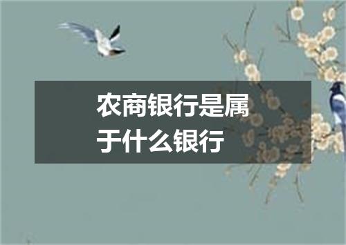 农商银行是属于什么银行