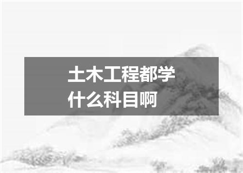 土木工程都学什么科目啊