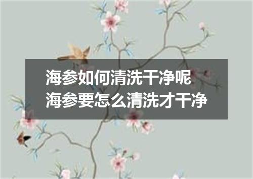 海参如何清洗干净呢 海参要怎么清洗才干净
