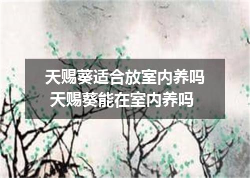 天赐葵适合放室内养吗 天赐葵能在室内养吗