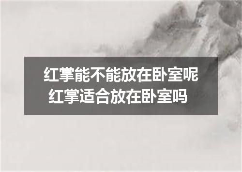 红掌能不能放在卧室呢 红掌适合放在卧室吗