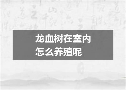 龙血树在室内怎么养殖呢